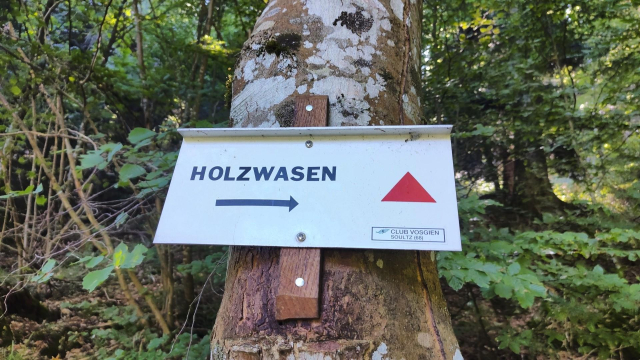 Sur un arbre, un panneau avec un triangle rouge et le nom "Holzwasen"