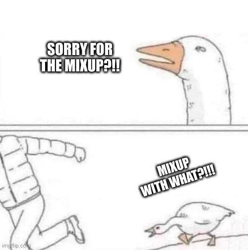 Goosing chasing person meme:
In the first panel, the goose says: Sorry for the mixup?!!
And in the second: Mixup with what?!!!