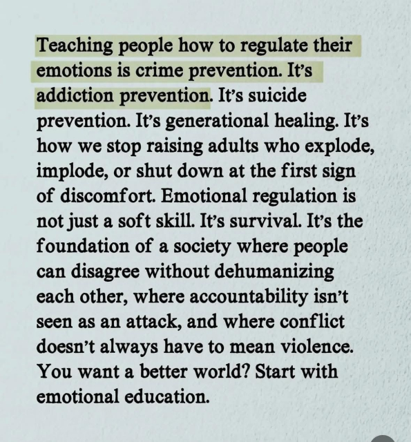 Teaching people how to regulate their emotions is crime prevention. It's addiction prevention. It's suicide prevention. It's generational healing. It's how we stop raising adults who explode, implode, or shut down at the first sign of discomfort. Emotional regulation is not just a soft skill. It's survival. It's the foundation of a society where people can disagree without dehumanizing each other, where accountability isn't seen as an attack, and where conflict doesn't always have to mean violence. You want a better world? Start with emotional education.