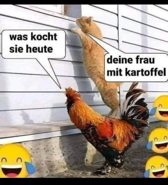 Kochendes Huhn
