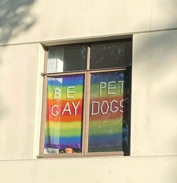 A rainbow-colored flag with words on it presumably intending to be read as "be gay" on the left and "pet dogs" on the right but which can be read from left to right as "be pet" and "gay dogs"