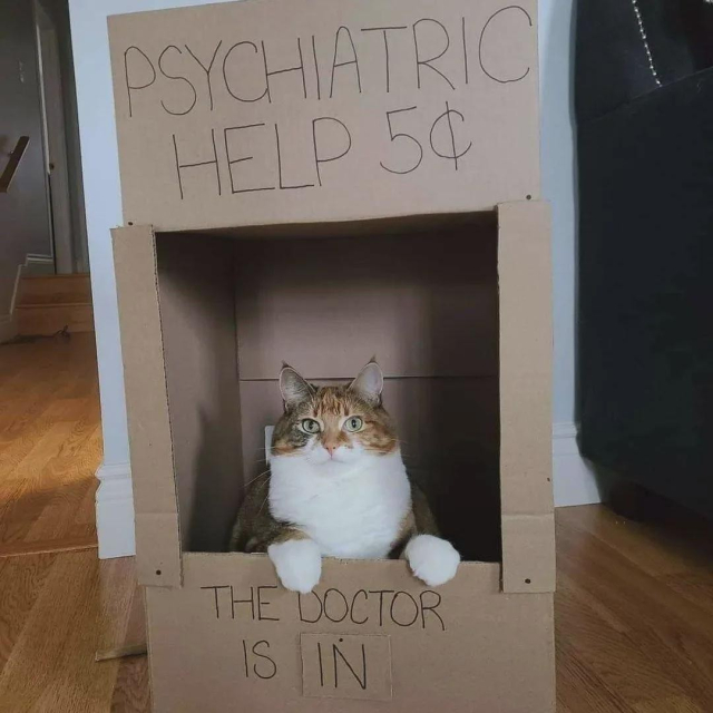 Photo of a tall box with a chunky cat inside peering out a cutout "window" in the cardboard. Written on the box is:
PSYCHIATRIC 
HELP 5¢
THE DOCTOR 
IS IN