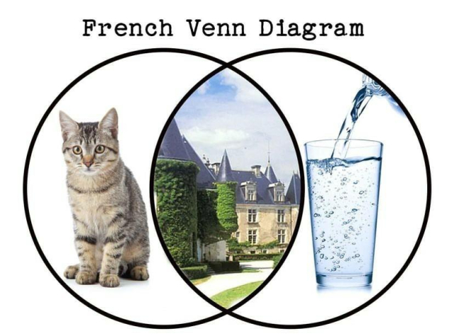 A Venn diagram. In one circle is a cat or "chat" in French. In the second circle is a glass of water or "eau" in French.

In the intersection is a picture of a castle-house or "chateau" (chat + eau) in French.