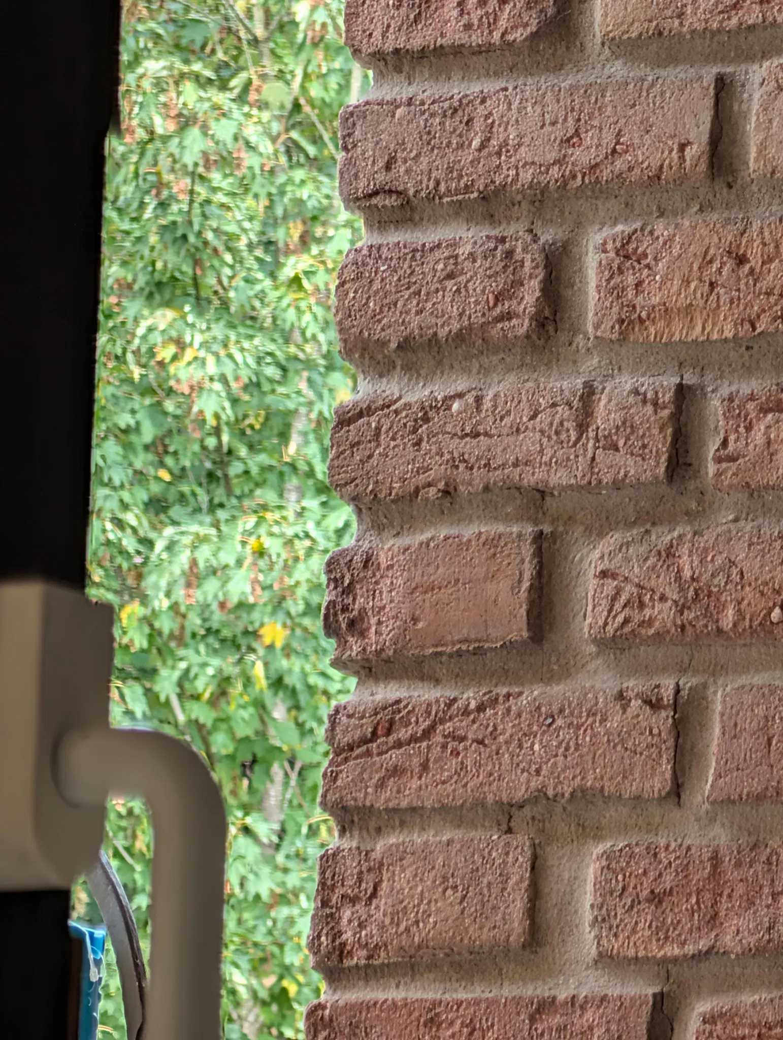 photo of a wall