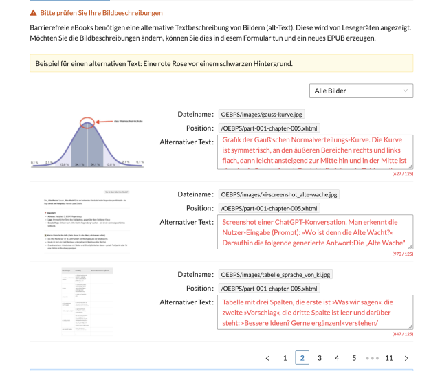 Screenshot einer Seite mit mehreren Fehlermeldungen. Links sieht man drei Grafiken, die in der Neuauflage von "Dann haben die halt meine Daten. Na und?!" enthalten sind. Rechts steht die jeweilige Bildbeschreibung, die den Text wiedergibt, was in der Grafik dargestellt wird. Der Beschreibungstext ist jeweils rot und die Maximallänge des Beschreibungstexts von 125 Zeichen rot hervorgehoben.