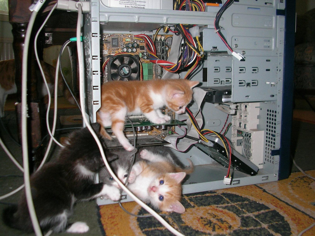 Photograph of an open PC case with motherboard, expansion cards, a disk drive resting against the case and several disconnected cables. Inside are two orange and white kittens and on grey and white kitten, with a black and white kitten about to pounce from the outside.