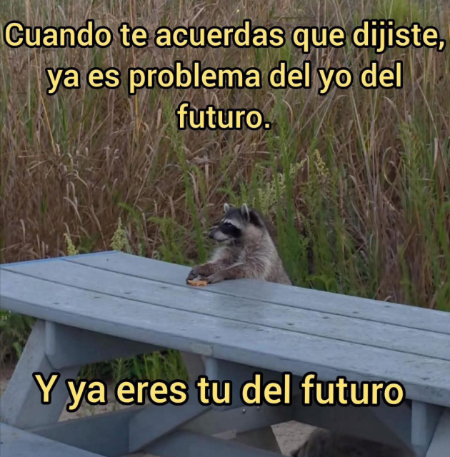 Cuando te acuerdas que dijiste ya es problema del yo del futuro

*Foto de mapache pensativo, sentado en una mesa.

Y ya eres tu del futuro.