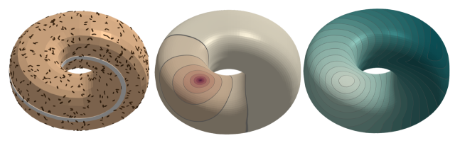 Rendered computer images of three impossible tori