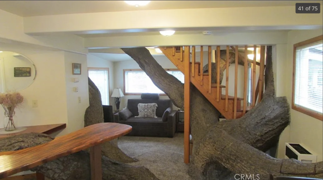 A living room with tree trunks curving around parts of the walls, coming inside the house. It is truly bizarre. 