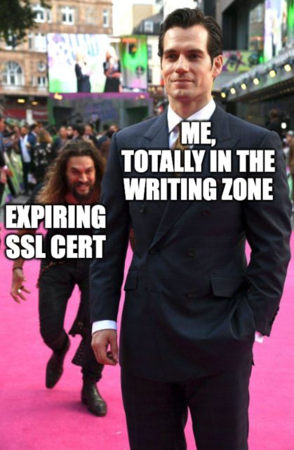 Jason Mamoa sneaking up on Henry Cavill meme. Cavill is labeled “me, totally in the writing zone”. Mamao is labeled “expiring SSL cert”