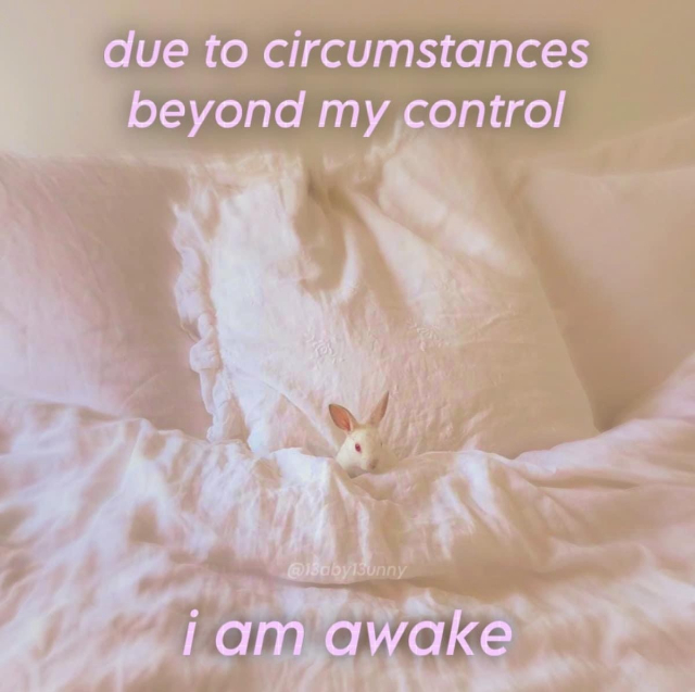 due to circumstances 
beyond my control
i am awake

[Photo of a tiny white bunny in bed laying on a pillow]