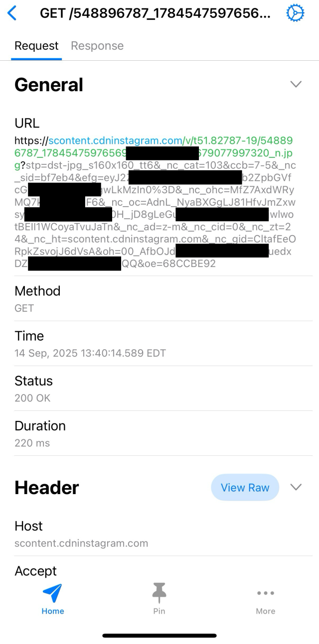 A GET request sent by Instagram when the notification was shown on screen.