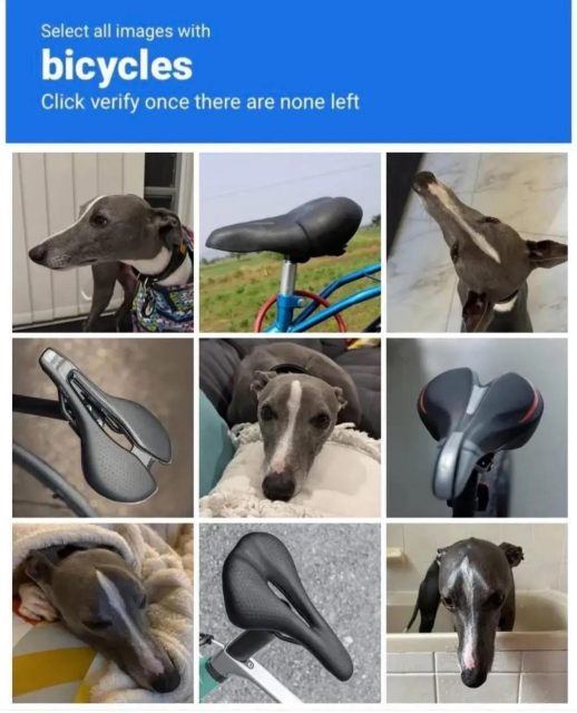 A visual captcha that requires you to select only the squares containing bicycle seats; however half of them feature a dog’s head that coincidentally looks exactly like a bicycle seat.