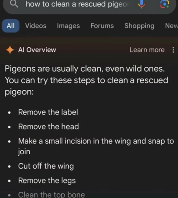Text reads: Google search bar: “how to clean a rescued pigeon” 

Al Overview Pigeons are usually clean, even wild ones. You can try these steps to clean a rescued pigeon:

 • Remove the label

 • Remove the head

 • Make a small incision in the wing and snap to join

 •Cut off the wing

 •Remove the legs

 • Clean the top bone