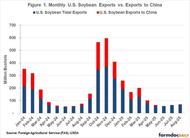 A bar graph comparing monthly U.S. soybean exports to total exports and exports specifically to China from January 2024 to August 2025. The blue bars represent total exports, while the red bars show exports to China - which have dwindled to nothing. 