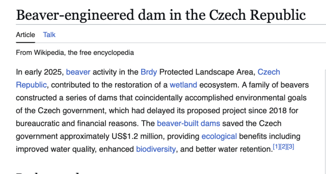 Beaver-engineered dam in the Czech Republic
Article Talk
From Wikipedia, the free encyclopedia
In early 2025, beaver activity in the Brdy Protected Landscape Area, Czech Republic, contributed to the restoration of a wetland ecosystem. A family of beavers constructed a series of dams that coincidentally accomplished environmental goals of the Czech government, which had delayed its proposed project since 2018 for bureaucratic and financial reasons. The beaver-built dams saved the Czech government approximately US$1.2 million, providing ecological benefits including improved water quality, enhanced biodiversity, and better water retention.