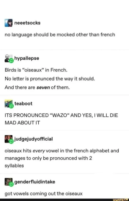no language should be mocked other than french

Birds is “oiseaux” in French.
No letter is pronunced the way it should.
And there are seven of them.

ITS PRONOUNCED “WAZO” AND YES, | WILL DIE MAD ABOUT IT

oiseaux hits every vowel in the french alphabet and manages to only be pronounced with 2 syllables

got vowels coming out the oiseaux