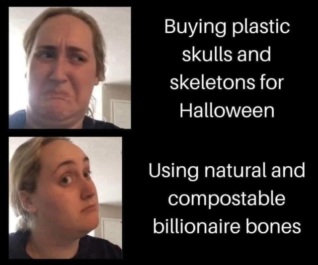 Two-panel meme. Top: Person grimacing, text reads "Buying plastic skulls and skeletons for Halloween." Bottom: Person smirking, text reads "Using natural and compostable billionaire bones."