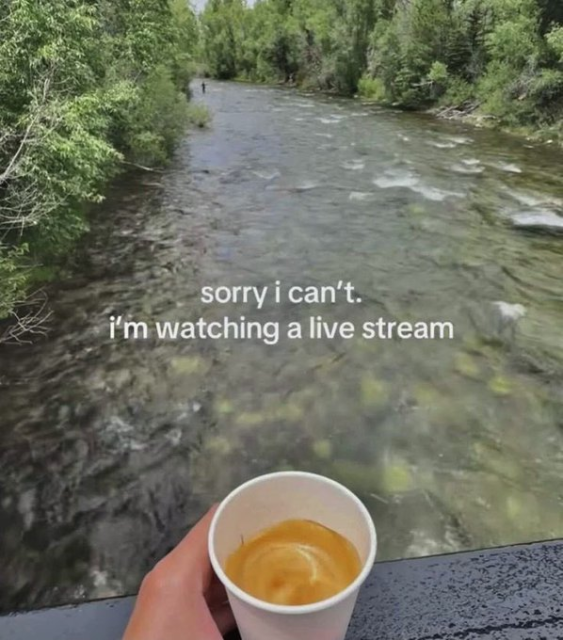 A photo taken from a first-person perspective, where a hand is holding a cup of coffee overlooking a beautiful, flowing river surrounded by green trees. The caption is a pun, reading: "sorry i can't. i'm watching a live stream".