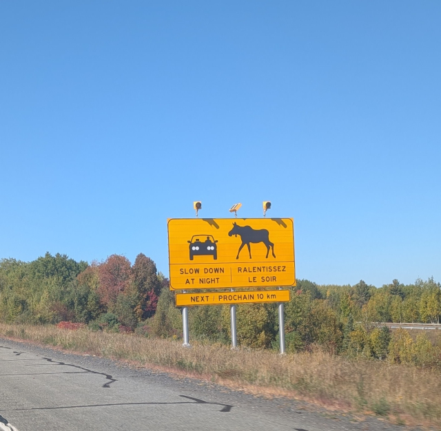 A yellow sign on the side of the highway. There is a car on the left and a huge moose on the right. 

It says Slow down at night/ralentissez le soir
Next/Prochain 10 km