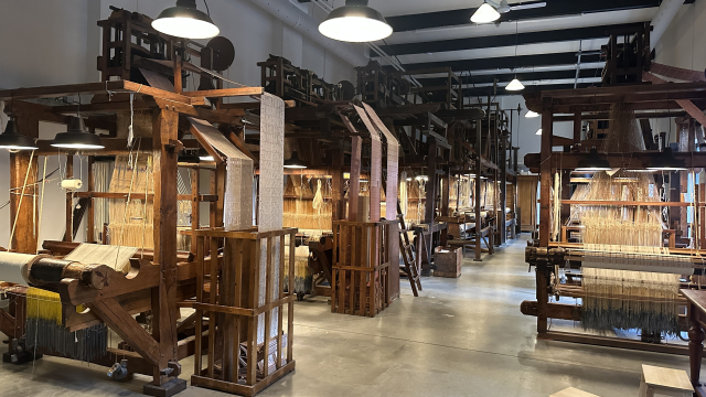 Collection of jacquard looms with their warps wound and partially woven pieces 