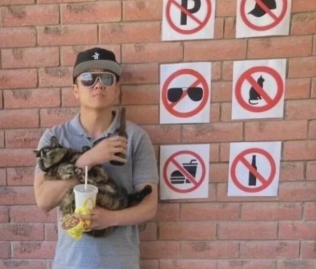 A really cool looking guy standing in front of a wall with several signs: no parking, no hats, no sunglasses, no cats, no food (burger/drink), no alcohol (a beer bottle)

He is wearing a hat and big aviators and holding a cat and a beer and some mcdonalds, and I assume the cat parked in the no parking zone.