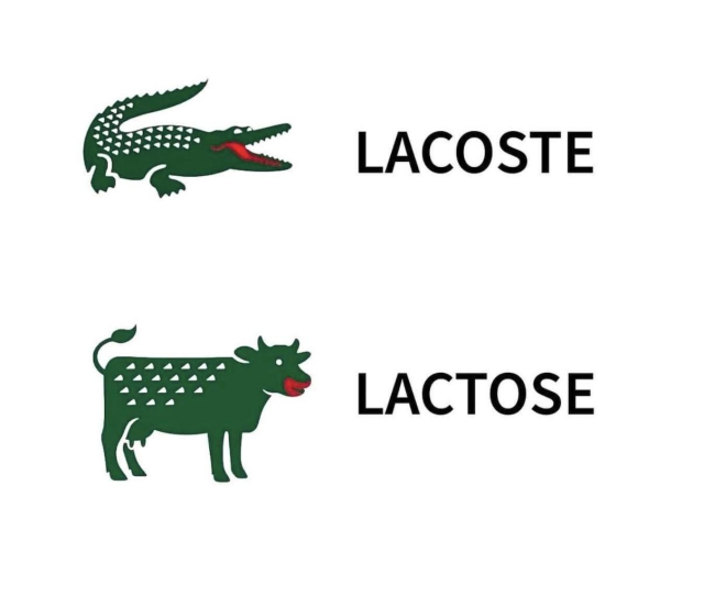 Green Alligator labeled LACOSTE
Green cow labeled LACTOSE
