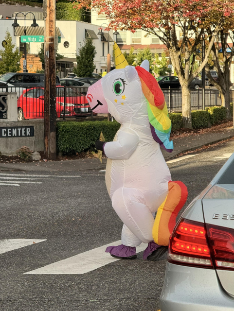 (a person in an inflatable unicorn costume to be clear)