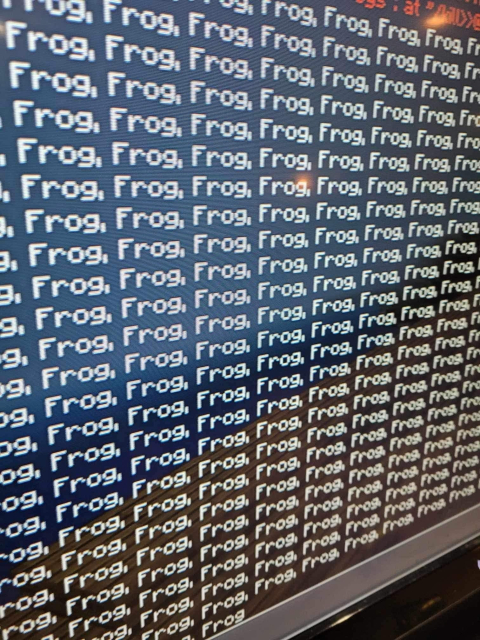 Close-up photo of a terminal screen with Frog, repeating 100+ times.