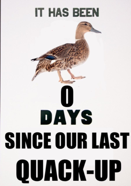 IT HAS BEEN 
🦆
0 
DAYS 
SINCE OUR LAST 
QUACK- UP