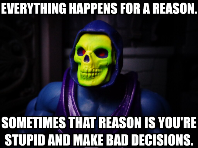 Everything happens for a reason. Sometimes that reason is you're stupid and make bad decisions. Says Skeletor, who has made quite a few bad decisions. 