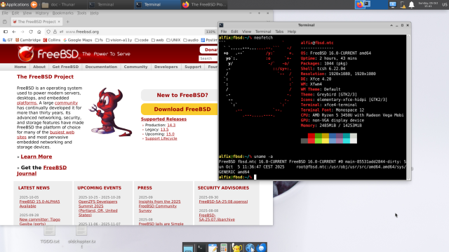 Screenshot of a FreeBSD desktop running Xfce 4.20. On the right, a terminal window displays neofetch showing system information: FreeBSD 16.0-CURRENT amd64, uptime 2 hours 43 minutes, 1044 installed packages, shell tcsh, CPU AMD Ryzen 5 3450U with Radeon Vega Mobile, and 14 GB of memory. The desktop environment uses the Greybird theme and elementary Xfce HiDPI icons. In the background, a Firefox window is open on the official FreeBSD website showing the “Download FreeBSD” button and latest news. The panel at the top shows open applications and the current time and date: Sunday, October 5, 15:41.