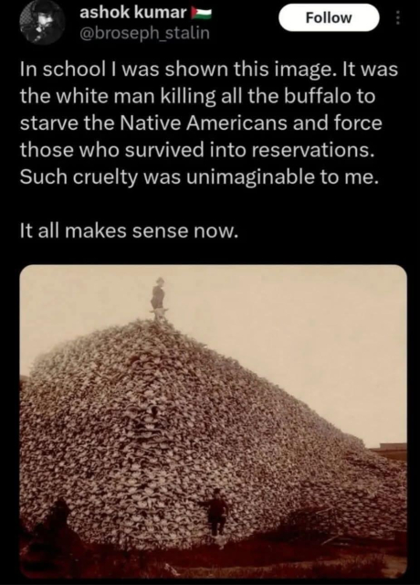 ashok kumar - @broseph_stalin

In school I was shown this image. It was the white man killing all the buffalo to starve the Native Americans and force those who survived into reservations.Such cruelty was unimaginable to me.
It all makes sense now.