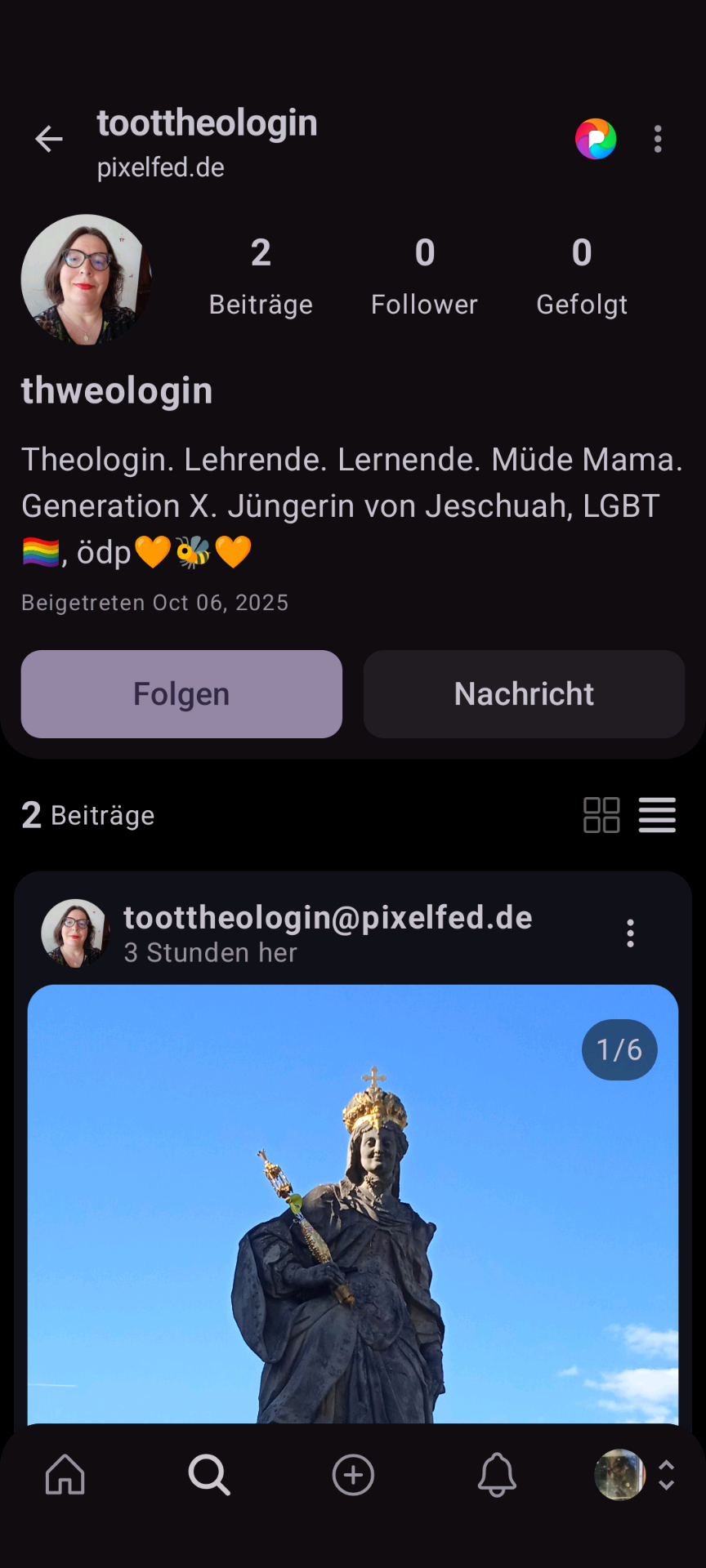 Screenschot PiexeFed Profil