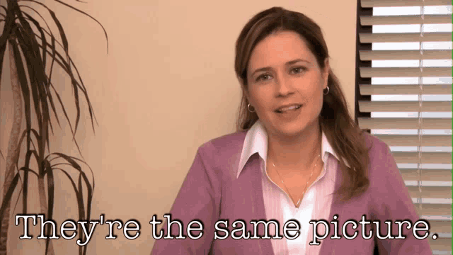 "They're the same picture" meme