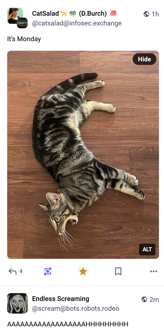 Two Mastodon posts. One of a cat who looks like it's yelling, the post below it of Endless Screaming saying AAAAAAAAAAAAAAAAAAAAHHHHHH.