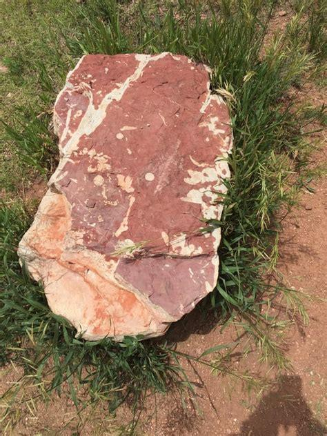 A rock that looks like an uncooked steak