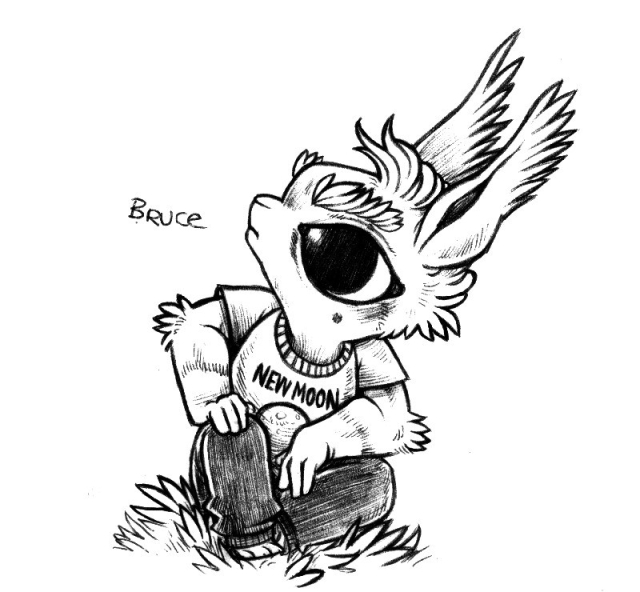 a drawing of  humanoid rabbit named Bruce, sitting on the ground and looking at the sky, intently. The rabbit has a shirt that says "new moon". 
