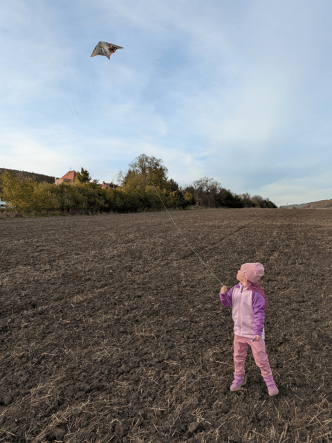 A little girl in pink clothes is standing in the field and is looking at a kite which is flying over her. She is having holding a rope connected to the kite.