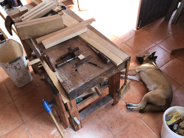 Gaia echada junto al banco de trabajo. Éste está cubierto con piezas de madera para mi zapatero. Hay una tira a medio serruchar.
