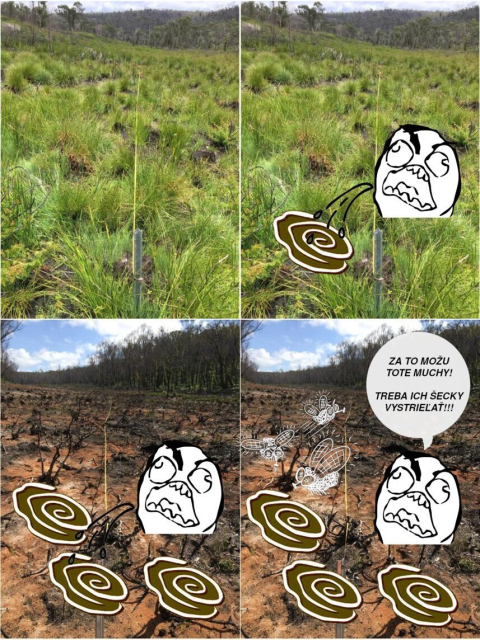 Karikarura v styroch dejstvach:

1. pekna zelena krajina
2. pride nasr^^hnevanych clovek a zacne chrlit sr^^hluposti
3. nahnevany clovek chrli dalej a dalej a krajina okolo neho chradne/hnedne
4. na konci mame uz len zdevastovanu krajinu plnu hovien a much a nahnevany chlapik hovori:

"Za to mozu tote muchy!
Treba ich secky vystrielat!!!"