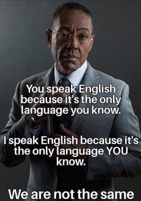Gus Fring aus der Serie "Breaking Bad" mit den Worten: You speak english because it's the only language you know. I speak english because it's the only language YOU know. We are not the same.