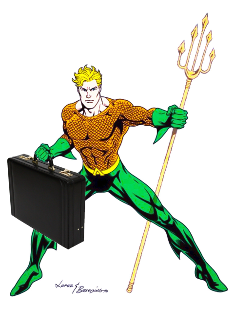 Arthur "Orin" Curry, proprietor of webuyunderwaterhouses dot com