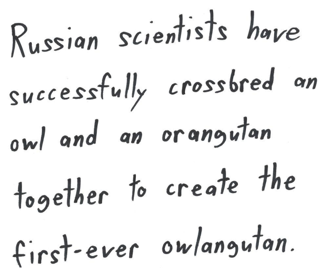 Russian scientists have
successfully crossbred an
owl and an orangutan
together to create the
first-ever owlangutan.