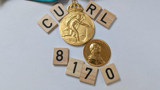 curl 8.17.0 said in wooden tiles with two gold medals in between