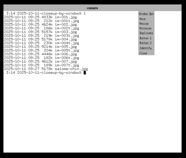 A screenshot of a monochrome xterm instance, with a drop-down menu hanging off the title bar.
