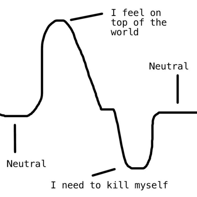A simple black line graph on a white background, illustrating a severe mood swing. The line starts at a level labeled "Neutral," rises sharply to a high peak labeled "I feel on top of the world," then crashes to a deep low labeled "I need to kill myself," before returning to another "Neutral" level.