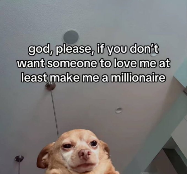 A low-angle, close-up shot of a small, light-brown chihuahua with large, sad-looking eyes, staring directly at the camera. Above the dog, white text on the ceiling reads: "god, please, if you don't want someone to love me at least make me a millionaire".