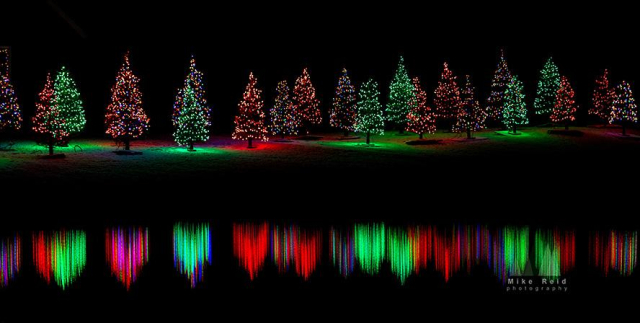 My favorite Christmas image.  Something about the mood here with the trees...
Christmas trees reflected at night.