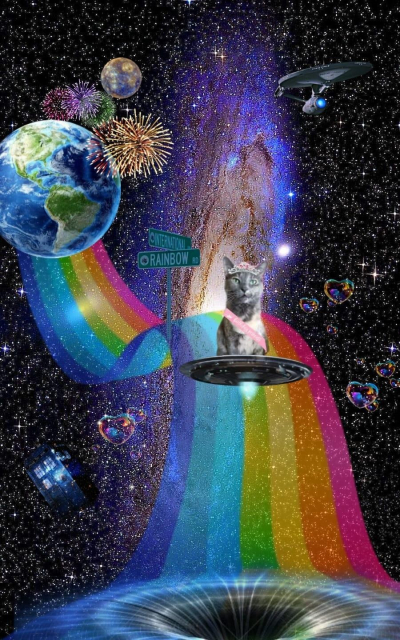 Image of a planet sized rainbow shooting off from the southern hemisphere of Earth showing a grey cat wearing beauty pageant sash and a tiara riding on top of a flying saucer to the end of said rainbow, which leads to a wormhole in space. A street sign in the middle of the rainbow says it's International Drive and Rainbow Drive, while rainbow & heart shaped bubbles float in space nearby. Oh, there's also fireworks the size of North America exploding above Earth while the Tardis and USS Enterprise fly around.

Overall, it's a very impressive photo to have been taken from Florida, given that the view on this picture is from space. Guess that's just how the aurora works. So cool!